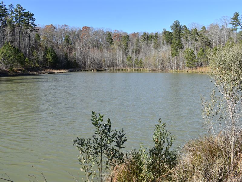 Great Homesite with 2 Ponds : Madison : Morgan County : Georgia