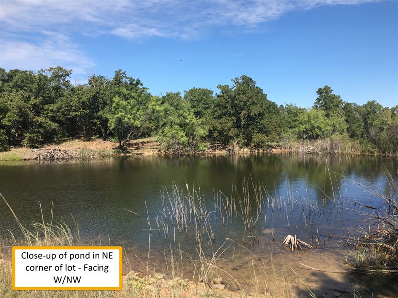 15 Acre Lot with Pond in Graham, TX : Graham : Young County : Texas
