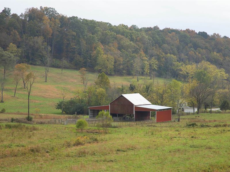 Beautiful Farm Next to Natchez Trac : Hampshire : Lewis County : Tennessee