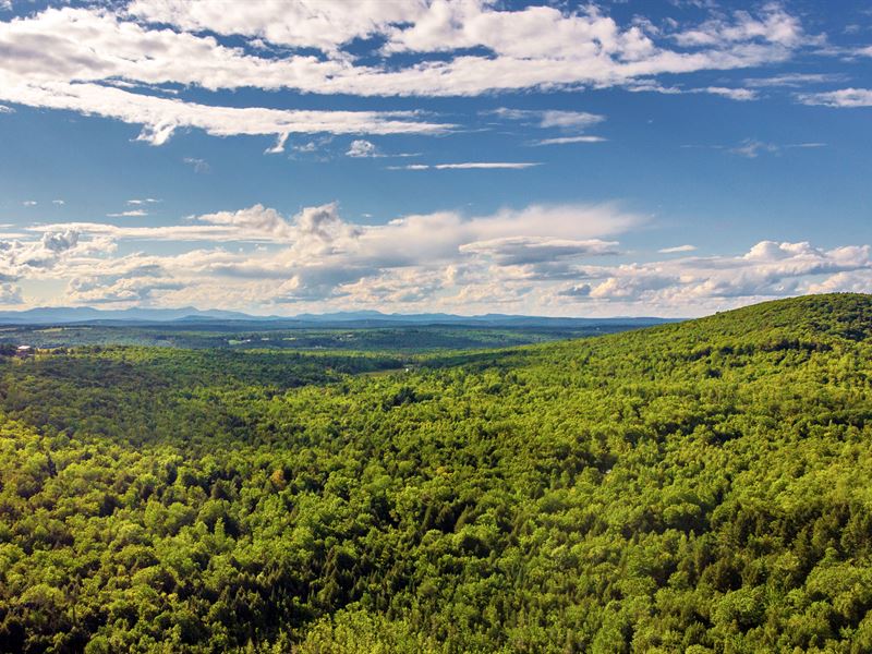 14.2 Acres, Road Access & Wetlands : Skowhegan : Somerset County : Maine