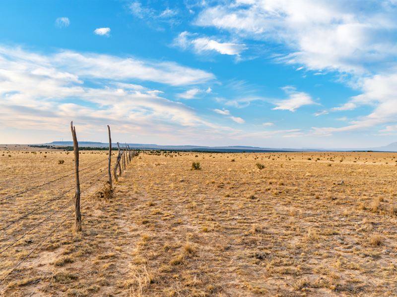 Lot Road Access Near Blm Land : Walsenburg : Huerfano County : Colorado