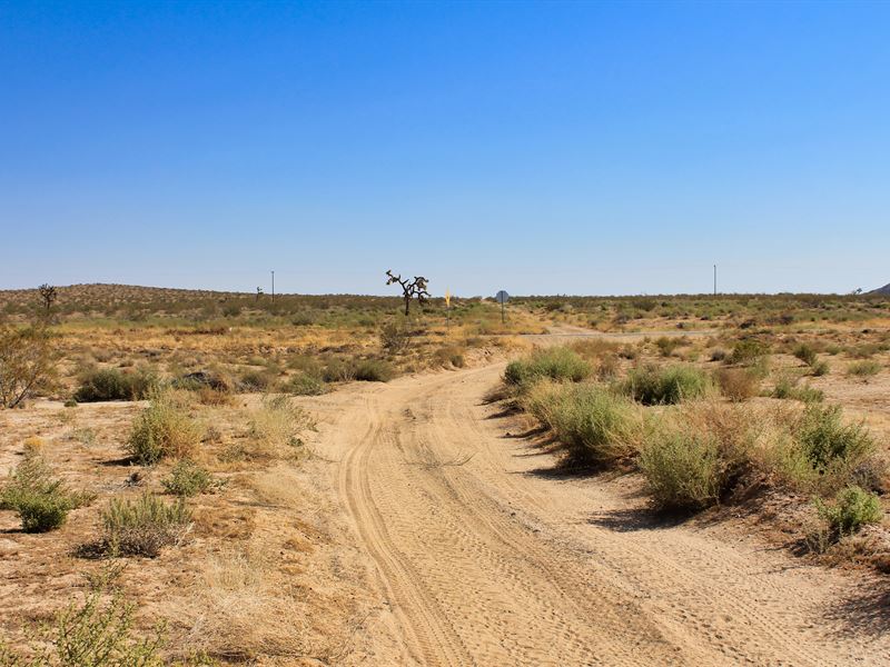 Amendment 25 Rising : Barstow : San Bernardino County : California