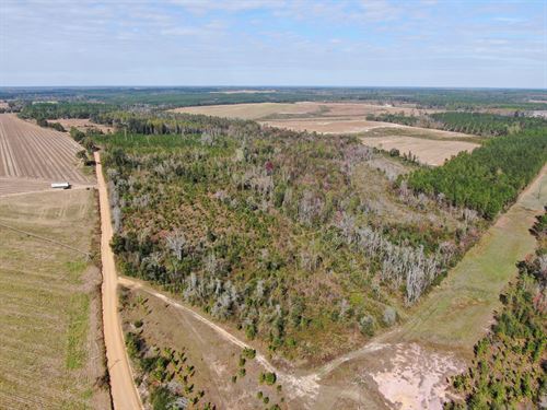 Hunting / Recreational Tract : McRae-Helena : Telfair County : Georgia