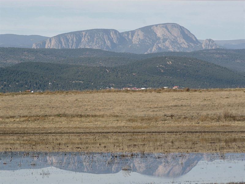 22 Acres Near Conchas Lake, NM : Garita : San Miguel County : New Mexico
