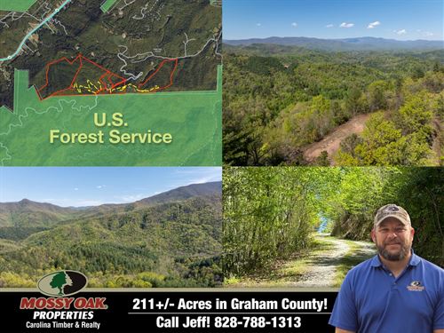 211 Acres Bordered by U.S. Fores : Robbinsville : Graham County : North Carolina