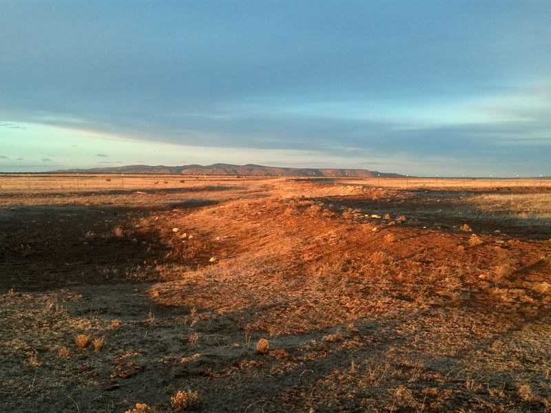 Vast 33 Acres in Roswell New Mexico : Roswell : Roosevelt County : New Mexico