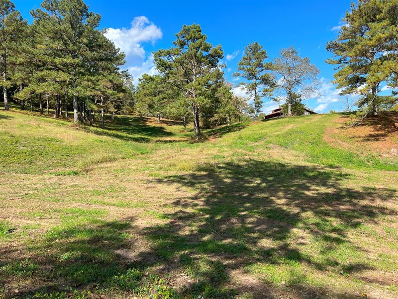1-008 Trussville Clay Road 54Ac : Trussville : Jefferson County : Alabama