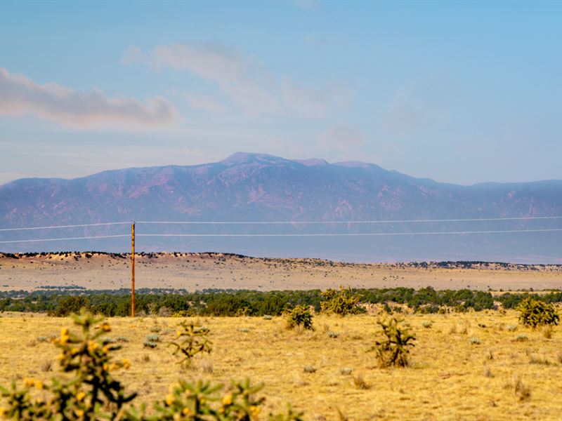 Ranch with Mountain View Near Power : Walsenburg : Huerfano County : Colorado
