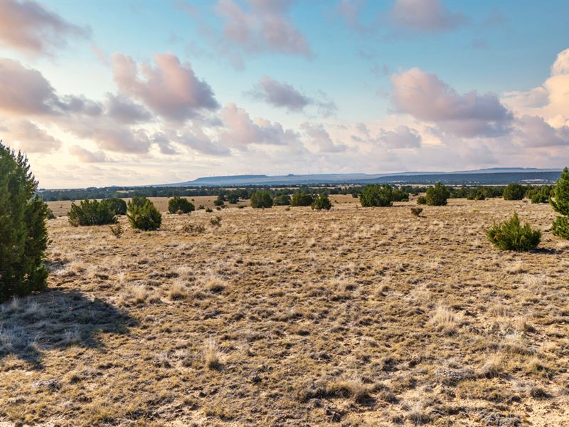Low with Road Access & Electricity : Walsenburg : Huerfano County : Colorado