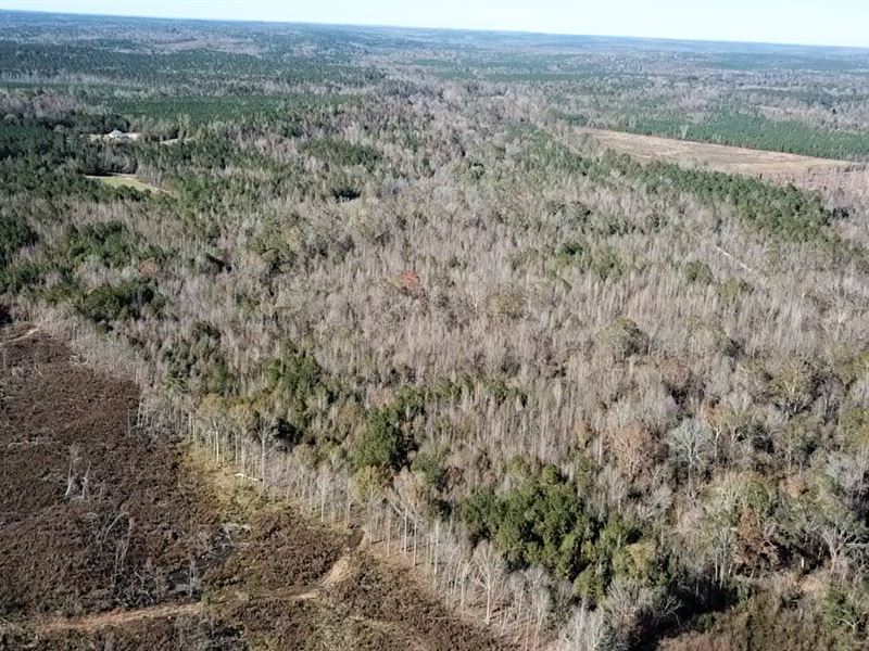 A Hunting and Timber Property Ranch for Sale in Pine Hill, Marengo