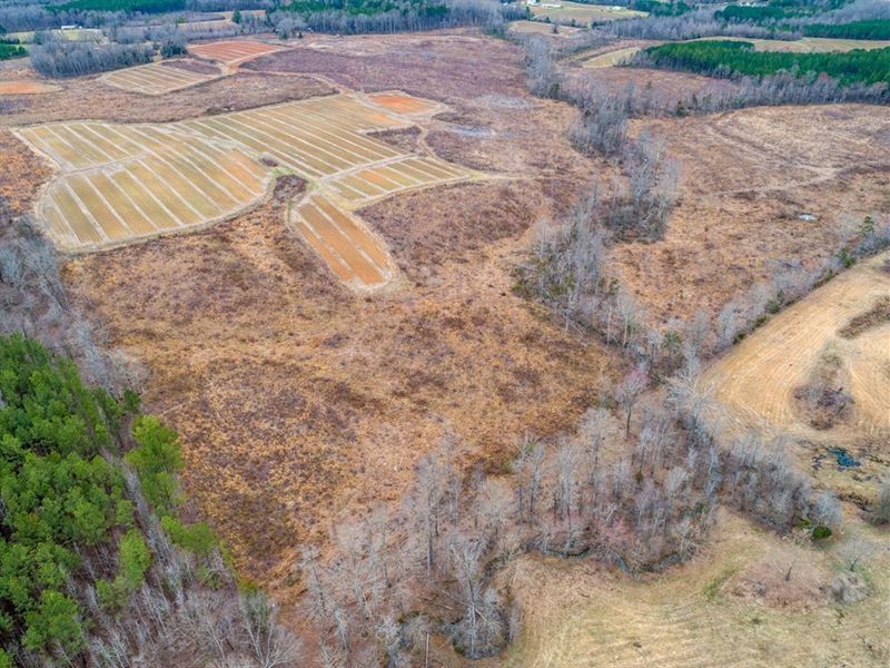 Oak Hill Ranch in North Carolina, Ranch for Sale in North Carolina