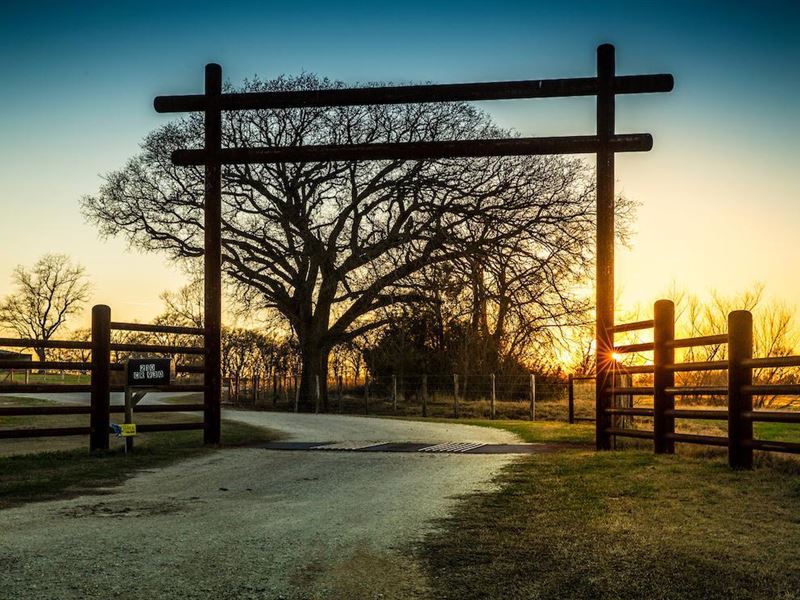 Hausler Creek Ranch : Teague : Freestone County : Texas