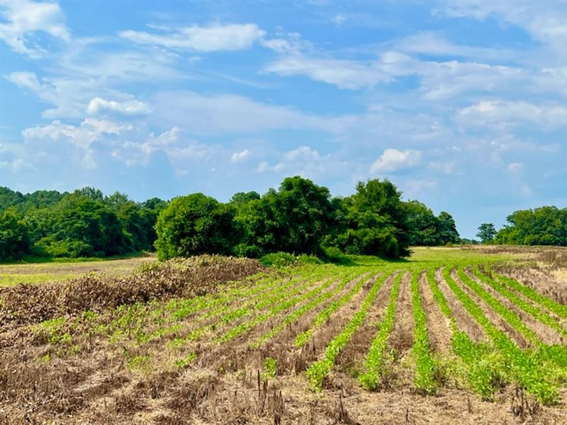 Rural, Secluded, and Multi-Use Pont : Oglethorpe : Macon County : Georgia