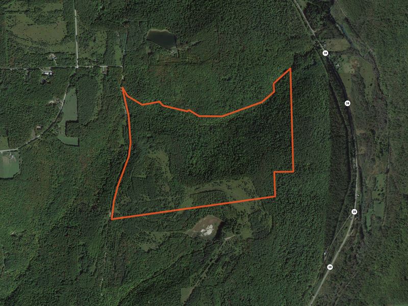 Rolling Woodland in Southern Tier : Richford : Tioga County : New York