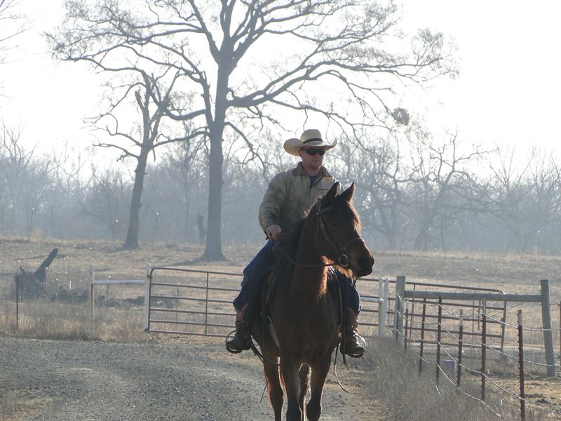 Leflore County Cattle Hunting Ranch : McCurtain : Le Flore County : Oklahoma