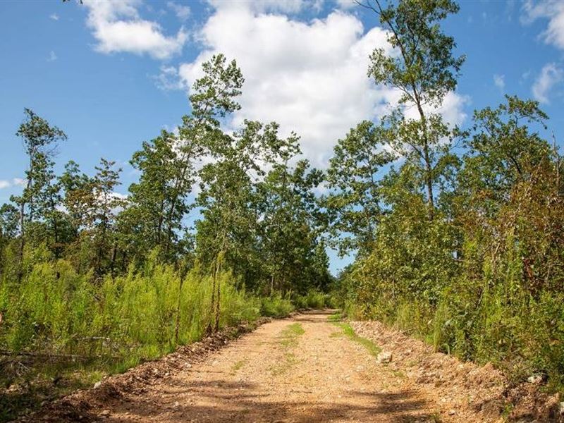 11.82 Acre in Shannon County, MO : Eminence : Shannon County : Missouri