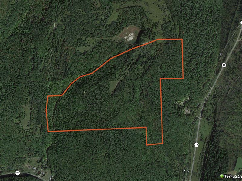 Southern Tier Views with Woods : Richford : Tioga County : New York