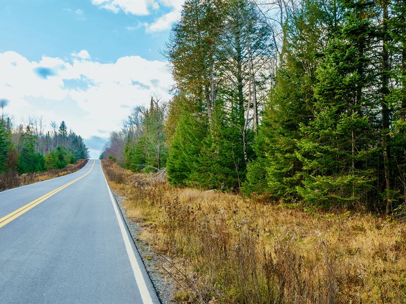 Wooded Acreage with Road Frontage : Wellington : Piscataquis County : Maine