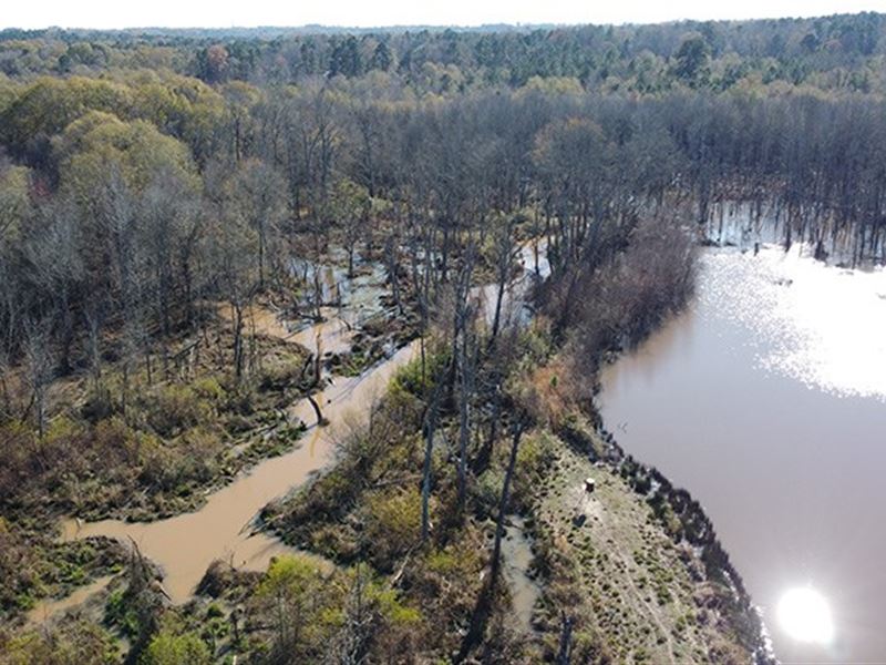 Texas Duck & Deer Hunting Land : Winona : Smith County : Texas