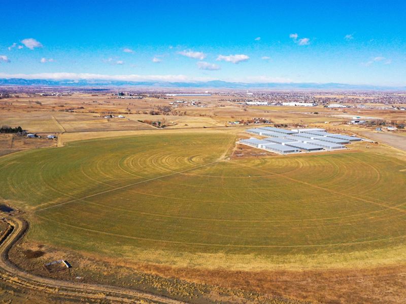 Rock Family Farms : Brighton : Adams County : Colorado
