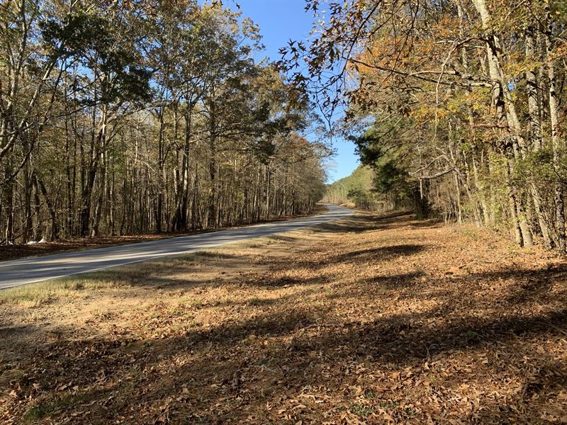 Pine, Hardwood & Recreational Tract : Good Hope : Walton County : Georgia