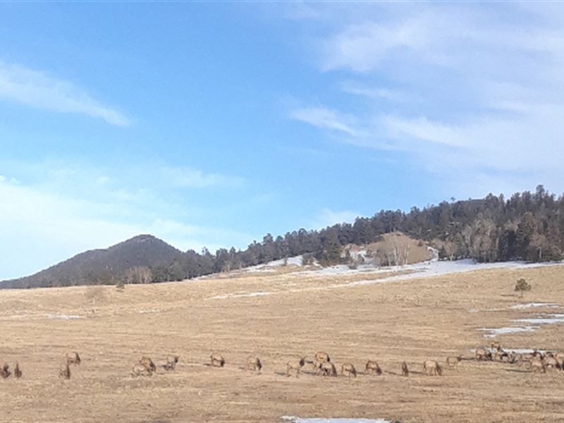 Elk Ridge Ranch Lot 5 : Westcliffe : Custer County : Colorado