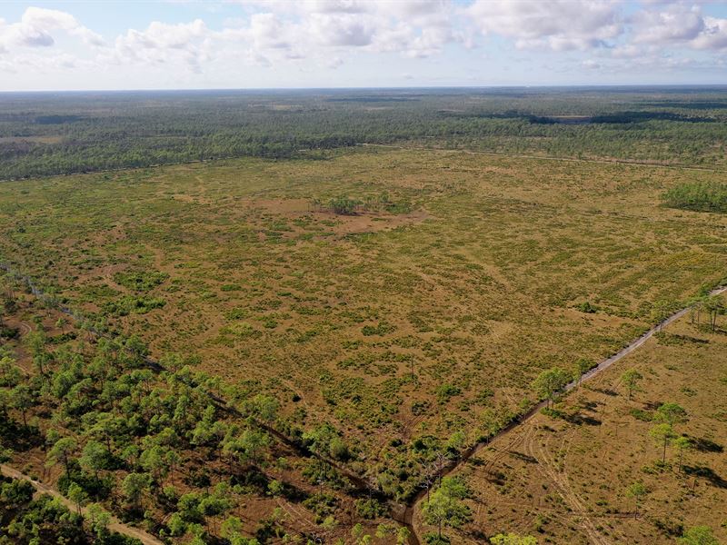Charlotte County Hunting Tract : Punta Gorda : Charlotte County : Florida