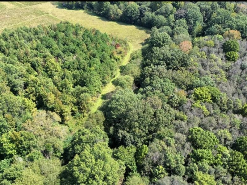 13 Acres, McShan Alabama : McShan : Pickens County : Alabama