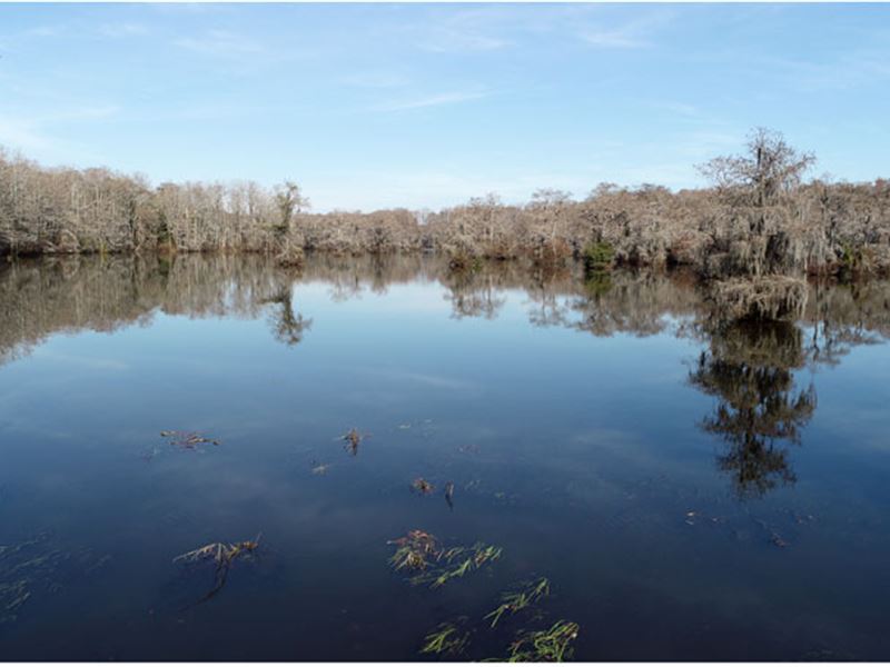 268 Acre Clarks Mill Pond Property : Louisville : Jefferson County : Georgia