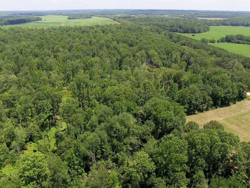 343 Acres Chesterfield Tract : Darden : Henderson County : Tennessee