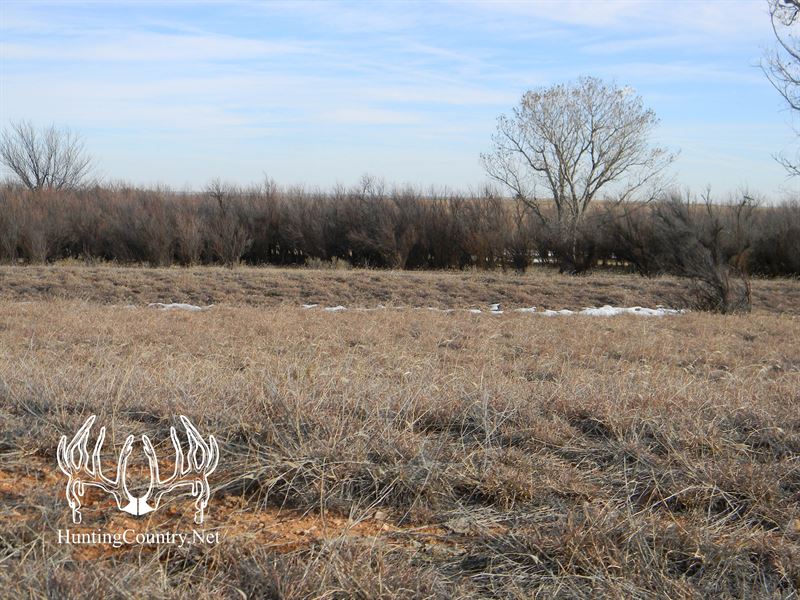 620 Acres M/L Beaver County, OK, Ranch for Sale in Oklahoma, 264141