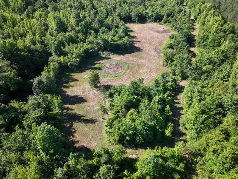 Webster County, 95 Acres, Big Bla : Maben : Webster County : Mississippi