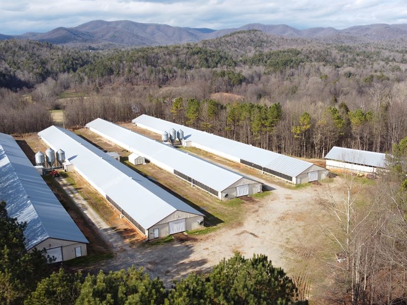 4 House Broiler Poultry Farm : Ellijay : Gilmer County : Georgia