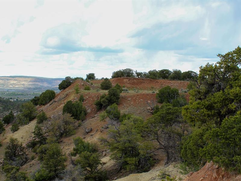 Vallecitos 80 Ac 6A Gmu Cuba, NM : Cuba : Sandoval County : New Mexico