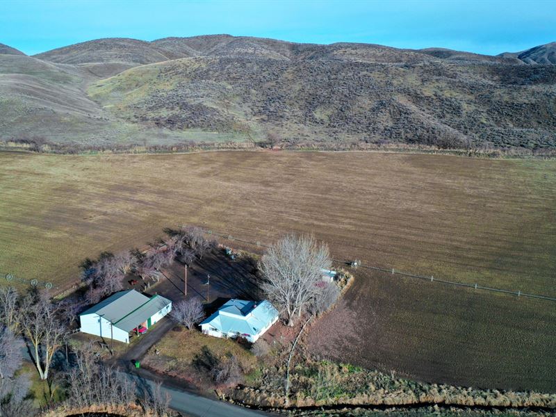 Mann Creek Farm : Weiser : Washington County : Idaho
