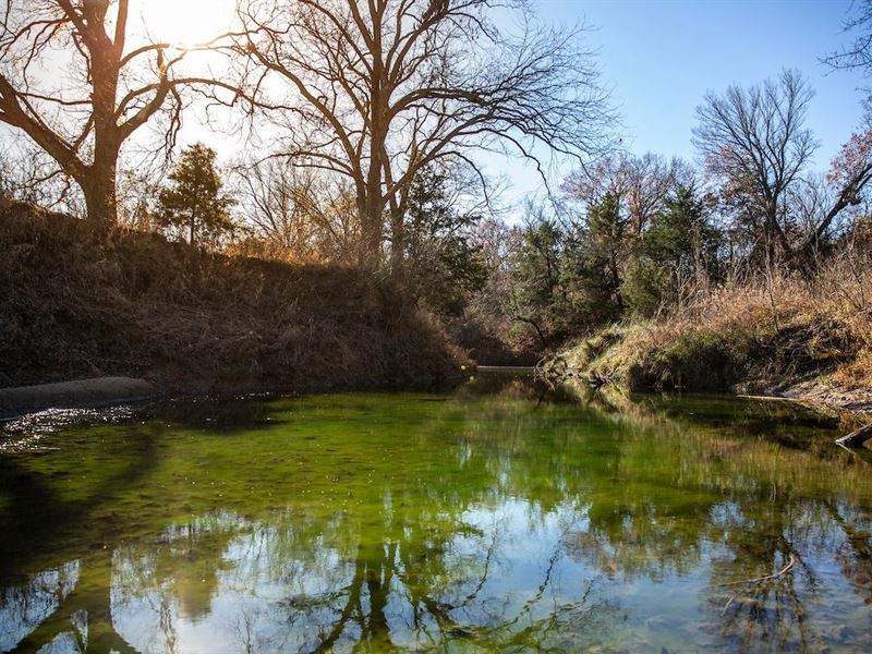 Walnut Bend Ranch : Gainesville : Cooke County : Texas