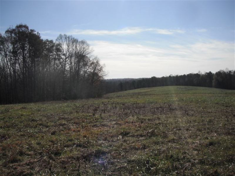 Sportsman's Retreat for Custom Home : Campobello : Spartanburg County : South Carolina
