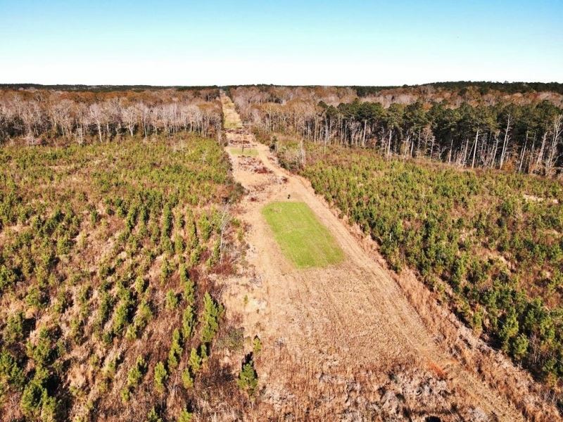 55.56 Acres Hunting Timber Land : Jayess : Pike County : Mississippi