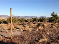 Stunning Arizona Property : Hackberry : Mohave County : Arizona