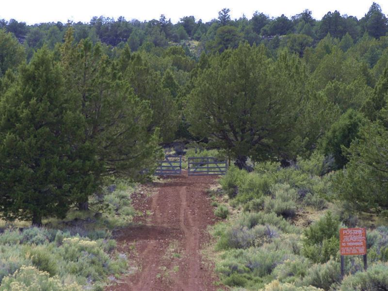 Panoramic Views Moon Valley : Termo : Lassen County : California