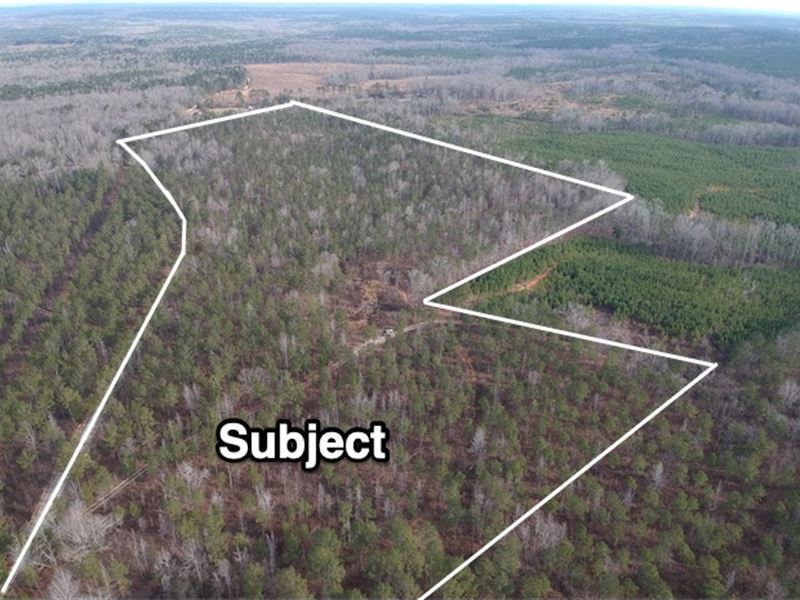 Perfect Size Hunting Property : Junction City : Talbot County : Georgia