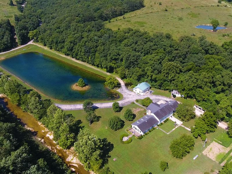 Ranch for Sale with Artesian Wells : Zanoni : Howell County : Missouri