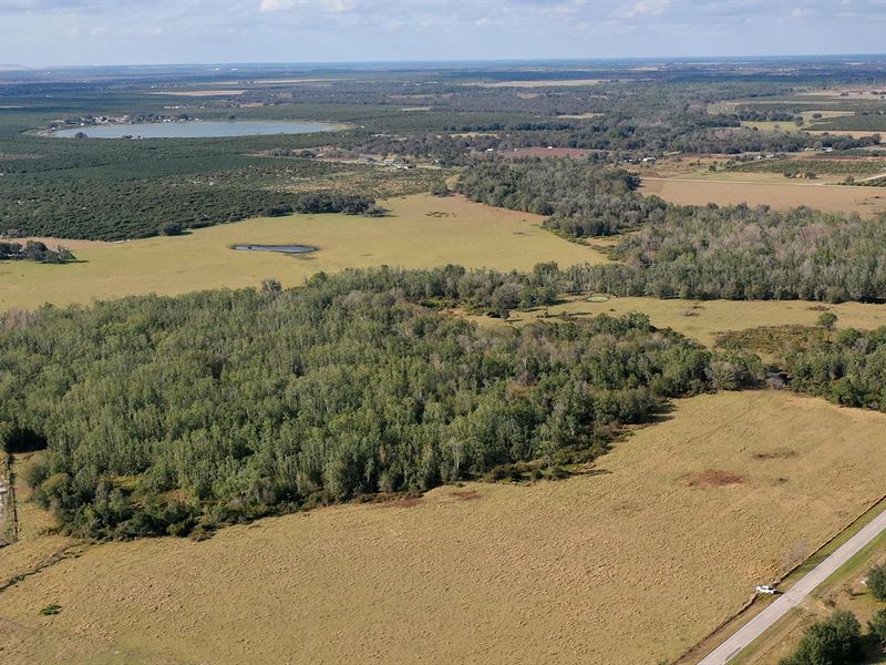 Lake Buffum Road Pasture, Ranch for Sale in Florida, 266200 RANCHFLIP