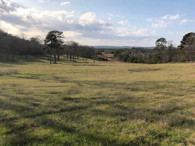 41.986 Acre Improved Pasture Land : Jacksonville : Cherokee County : Texas