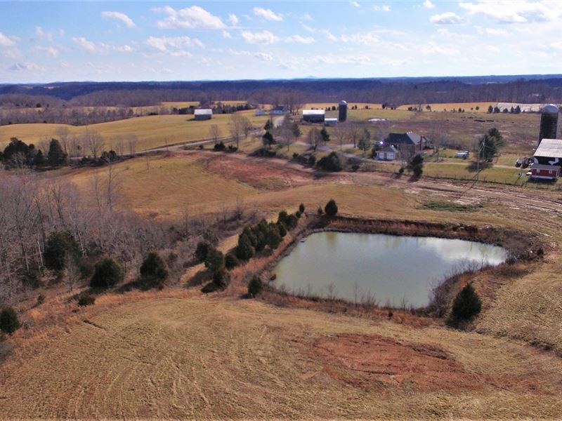 Cattle/Horse Farm, Ponds, Pasture, Ranch for Sale in Kentucky, 266408