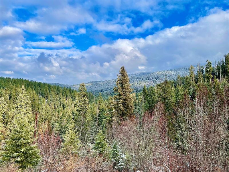 77.87 Acres Manufactured Home, Ranch for Sale in Idaho, 266551 RANCHFLIP