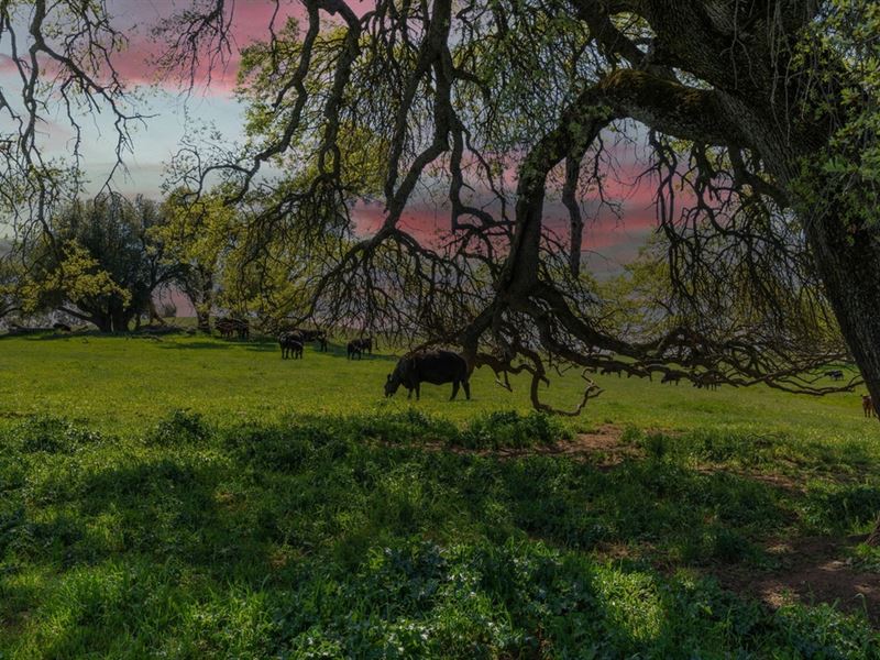 Versatile Development Opportunity : Plymouth : Amador County : California
