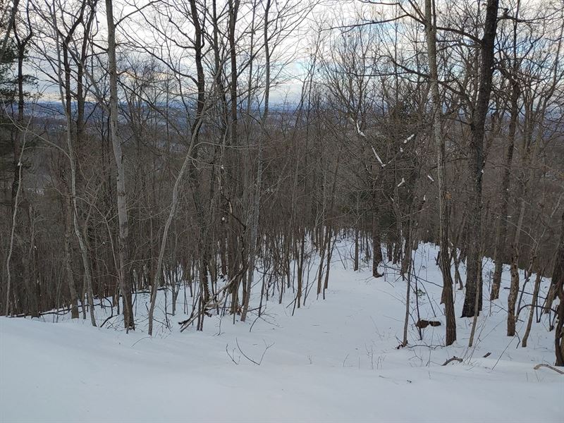 Mountain Land in Shawsville VA : Shawsville : Montgomery County : Virginia