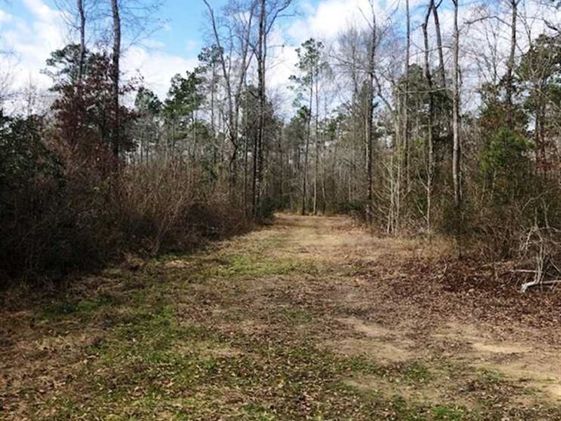 110 Acre Hunting and Recreational, Ranch for Sale in Texas, 267089