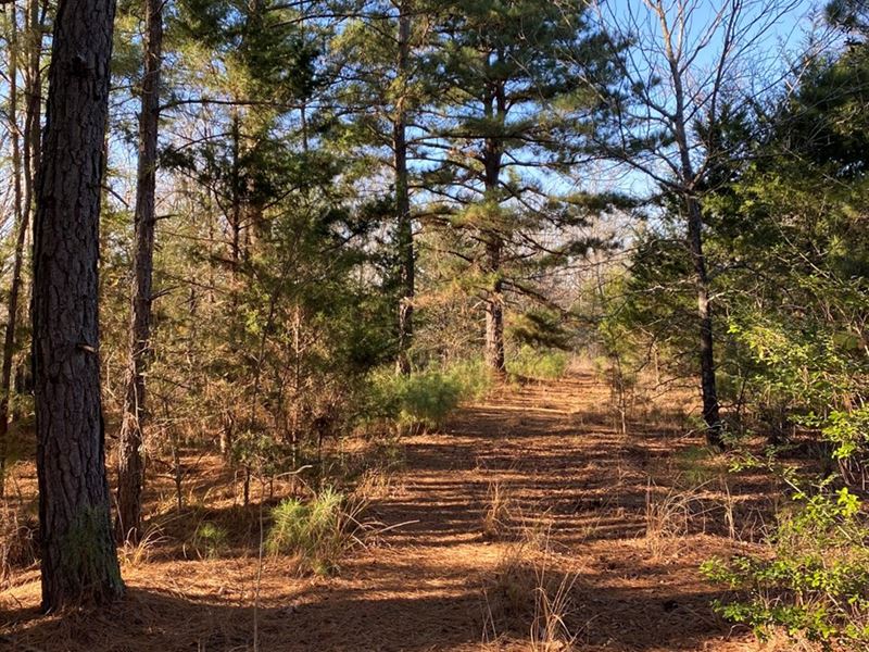 East Texas Land Smith County, Ranch for Sale in Texas, 267252 RANCHFLIP